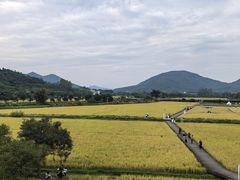 -艾米稻香小镇