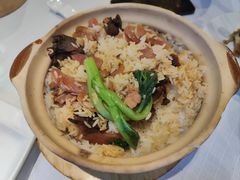 -新雅粤菜馆(南京东路店)