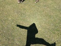 -武陵山森林公园