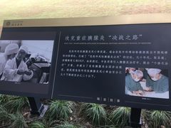 -上海交通大学医学院附属瑞金医院(总院)