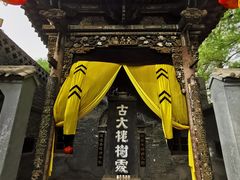 -大槐树寻根祭祖园