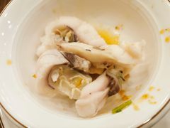 脆皖鱼腩-正能量脆肉鲩火锅