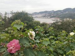 -温岭石塘海边