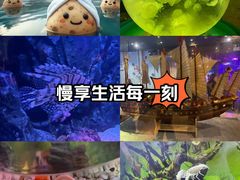 -正佳极地海洋世界