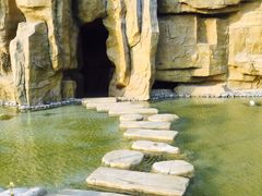 iphone_upload_pic-灵山莲花公园-温泉度假区