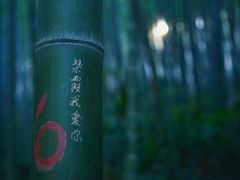 -南山风景名胜区