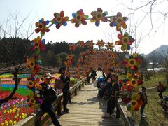 -千岛湖龙川湾