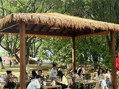 -艾溪湖湿地公园