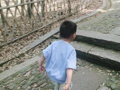 -杭州黄龙洞