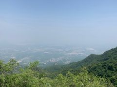 -阳台山自然风景区