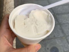 椰子雪糕-洪馨椰子