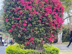 -东莞植物园