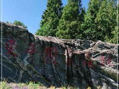 -东平国家森林公园