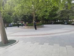 -团结湖公园