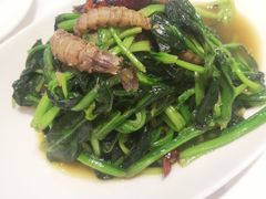 -双井轩(双井店)