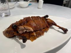 -圆苑(静安寺店)