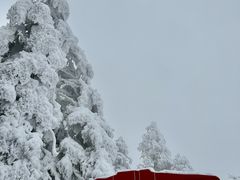 -瓦屋山景区