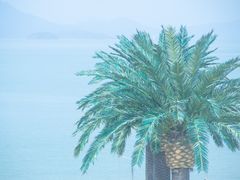 -巽寮湾