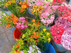 -双季花艺园艺市场(浦东店)