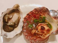 -食为先(Shark Fin)