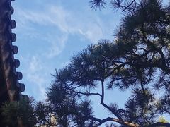 -龙华寺
