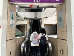 -香港大学