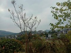 -石塘人家