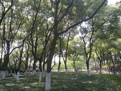 -荆川公园