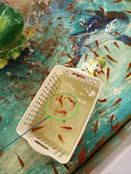 -孩子王童乐园(天津远洋乐堤港店)