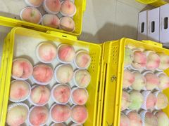 -老袁家蜜桃农场·阳山水蜜桃