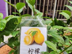 -井德幼儿园(新康花园店)