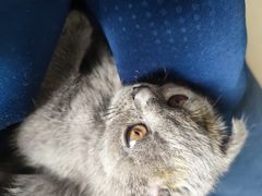 -宠颐生·恒爱宠物医院(静海店)