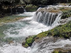 -1973继光香香鸡(曲阳路店)