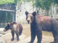 -灵玲国际马戏城