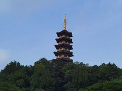 -锦泓老字号猪脏粉(东联大厦店)