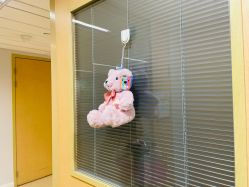 -杭州贝瑞斯美华妇儿医院·早孕·产检·儿科