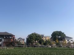 -龙坞茶村