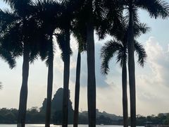 -南宁花花大世界景区