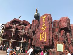 -太阳部落