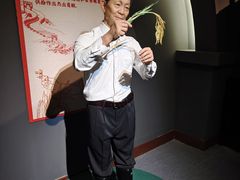 -金石蜡像馆