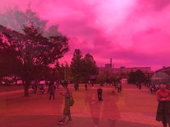 -金泽21世纪美术馆