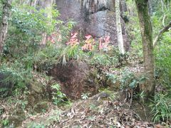-九鲤湖风景区