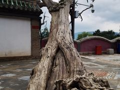 -玉泉观