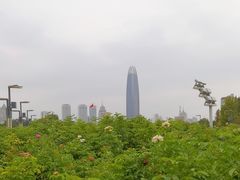 -泉城广场