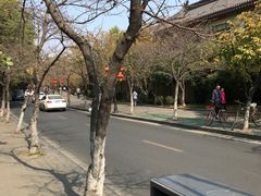 -鸡鸣赐茶(鸡鸣寺路店)
