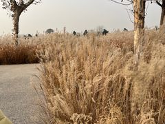 -汉长安城未央宫国家考古遗址公园