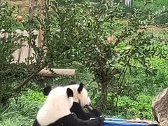 -西安秦岭野生动物园