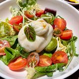 提拉米苏绝绝子