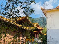 -深圳仙湖植物园