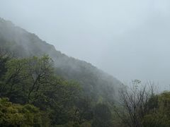 -韬光茶庵